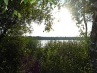 Озеро Покровское. Фото: Макарова Василина
