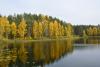 Осенний пейзаж, о. Глубоцкое. Фото: Манухова Д.В.